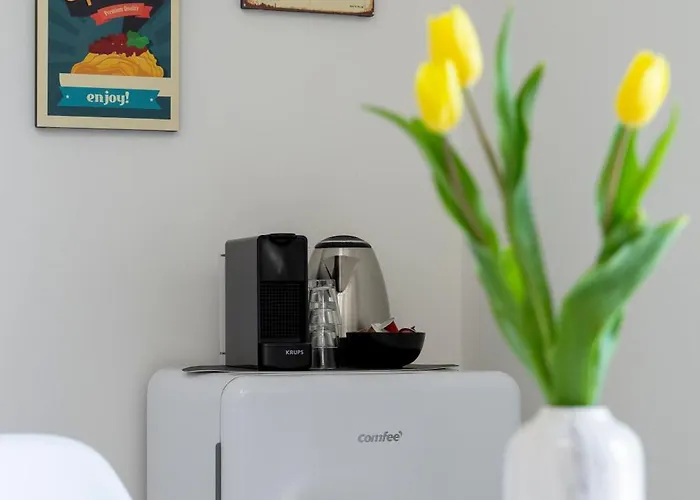 Shiny بيت ضيافة 4*