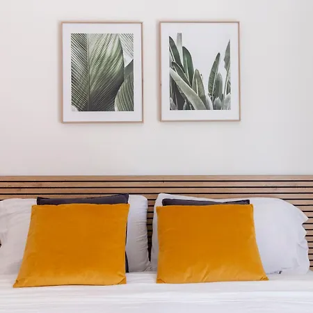 Shiny Guest house